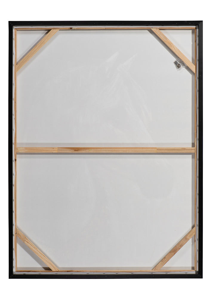 Cheval blanc avec collier