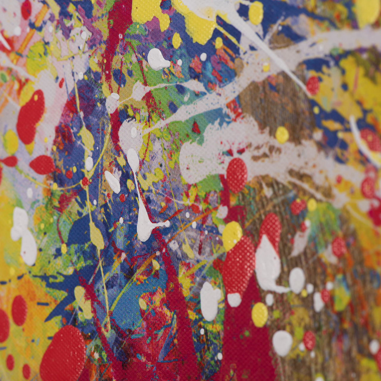 Gemäde Boxing Skippy