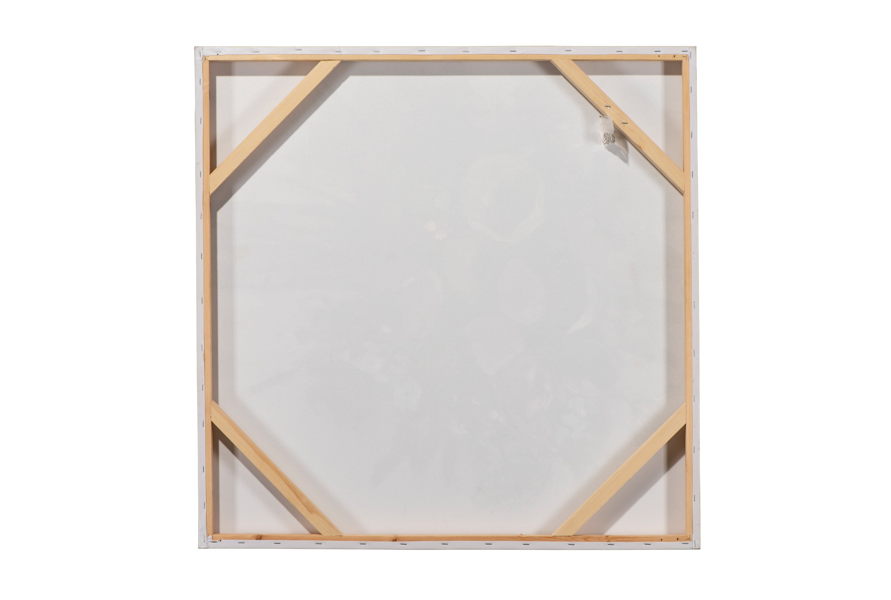 painting Elegant Mandala