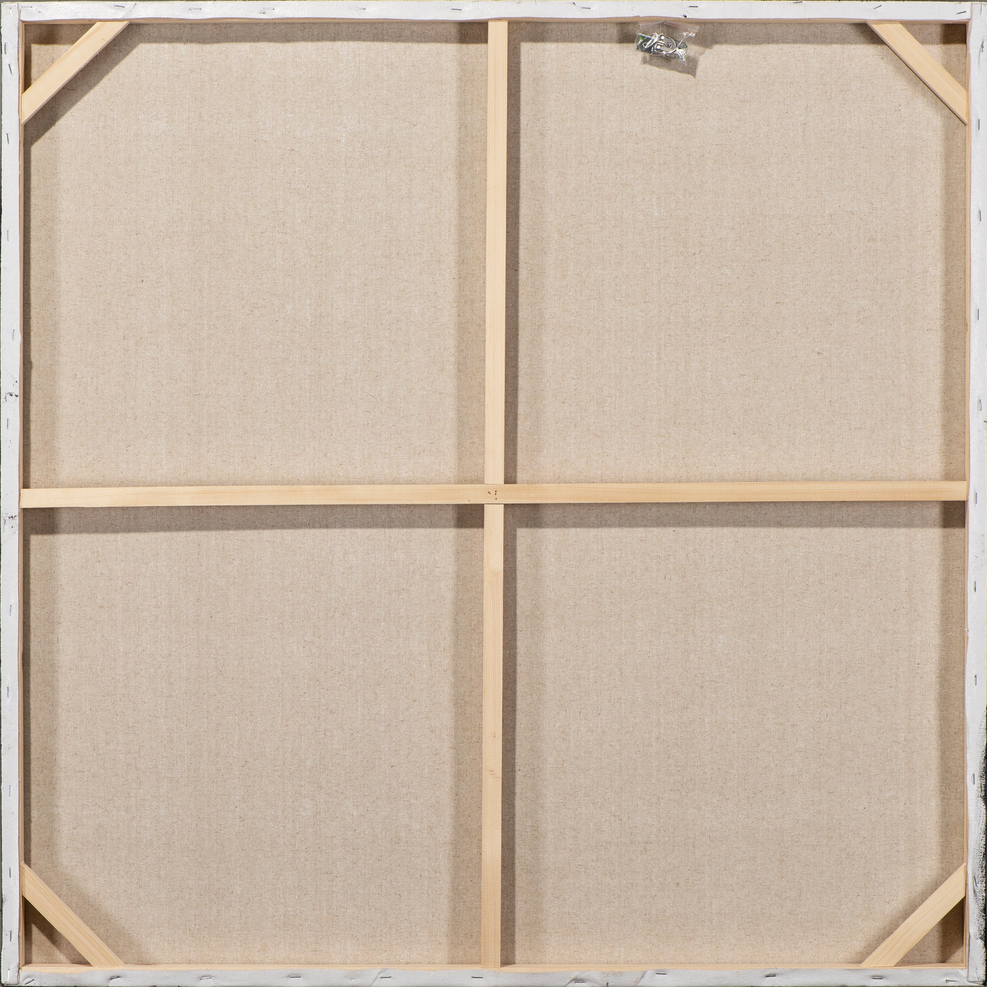 Résumé Oiseaux dans le vent