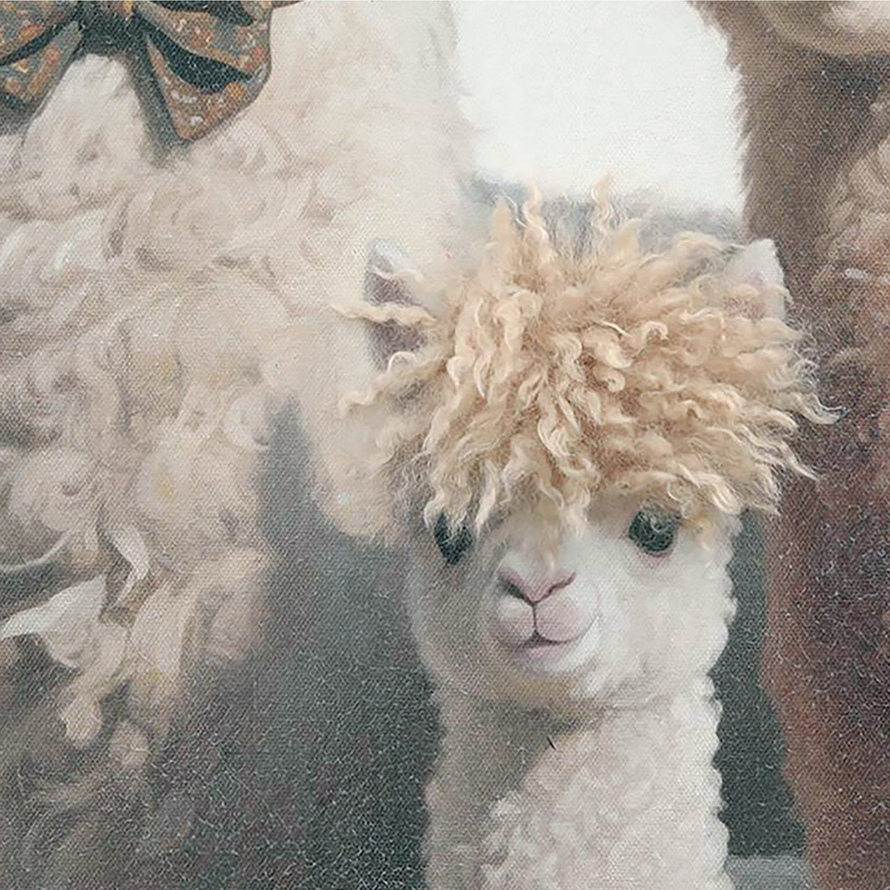 Gemälde Kunstfell Stylish Lama Family