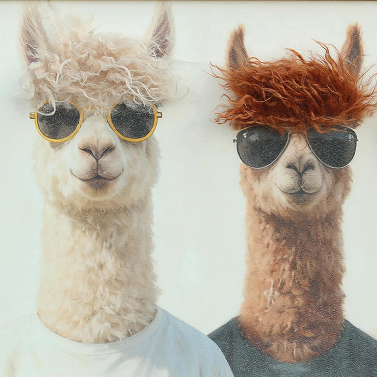 Gemälde Kunstfell The Lama Pacos