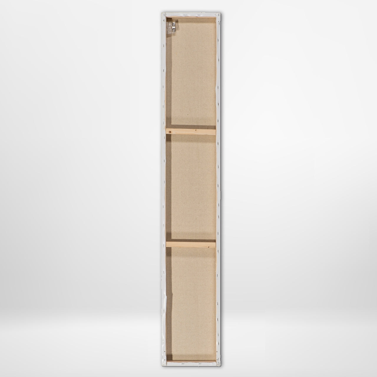 Tableau 3 autruches amusantes