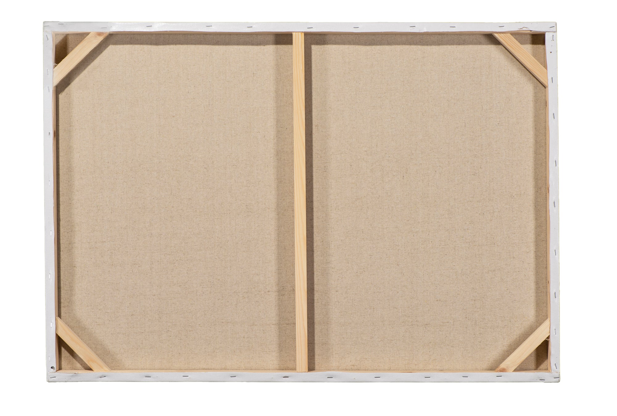 Funny Mermaid as a Dog