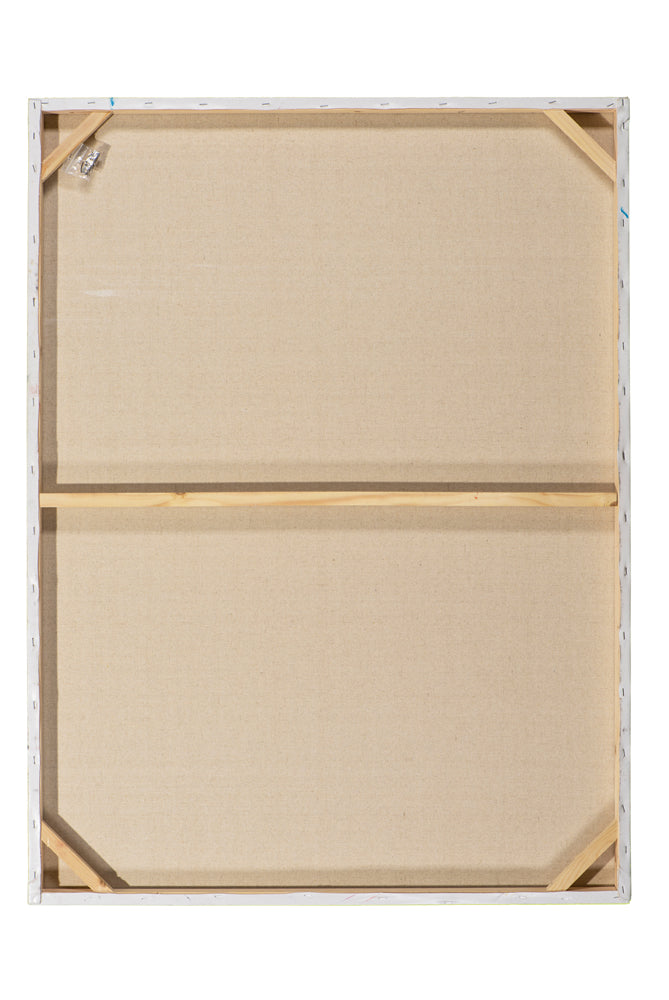 animaux dans la jungle