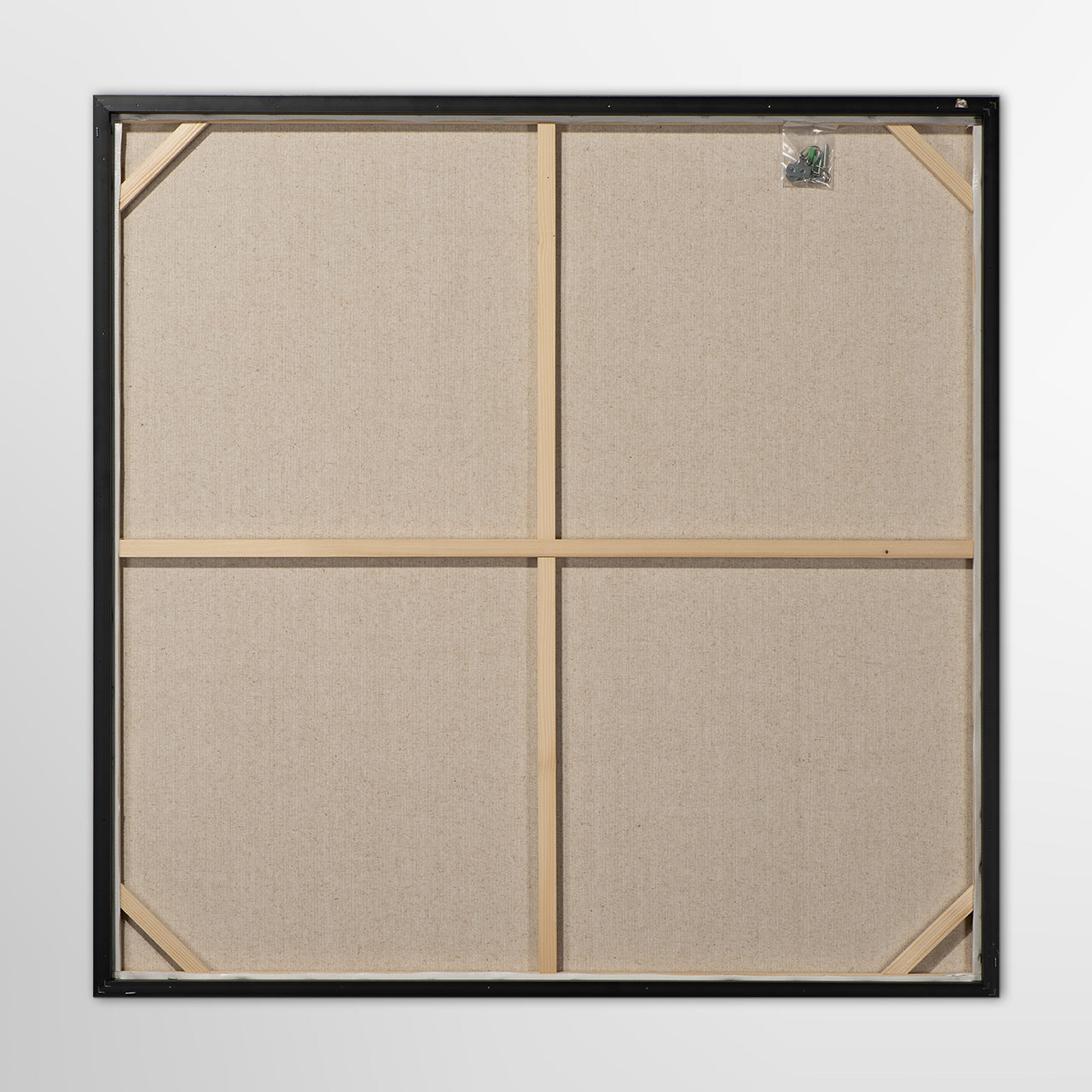 painting Colourful Beauty