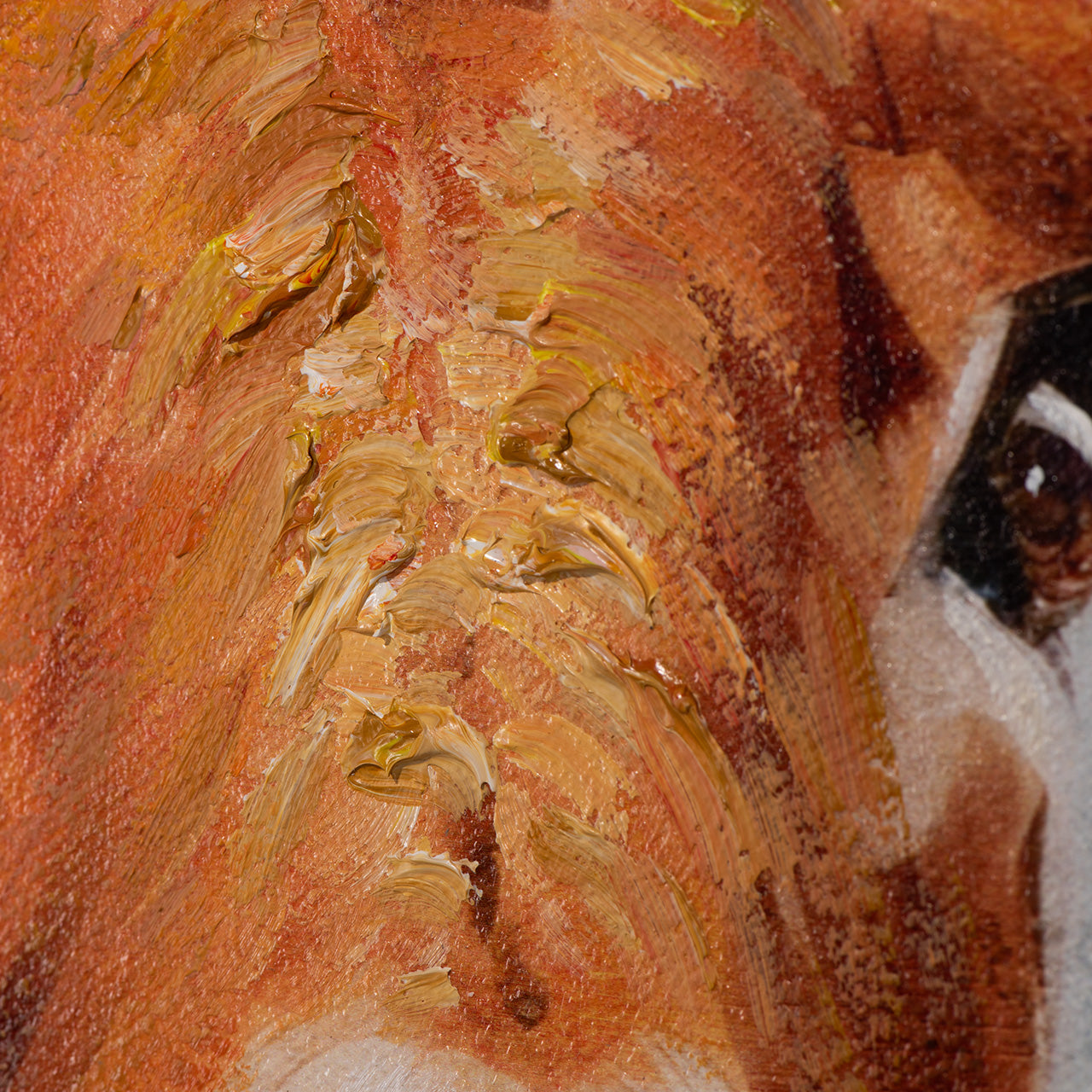 peinture Ânes curieux