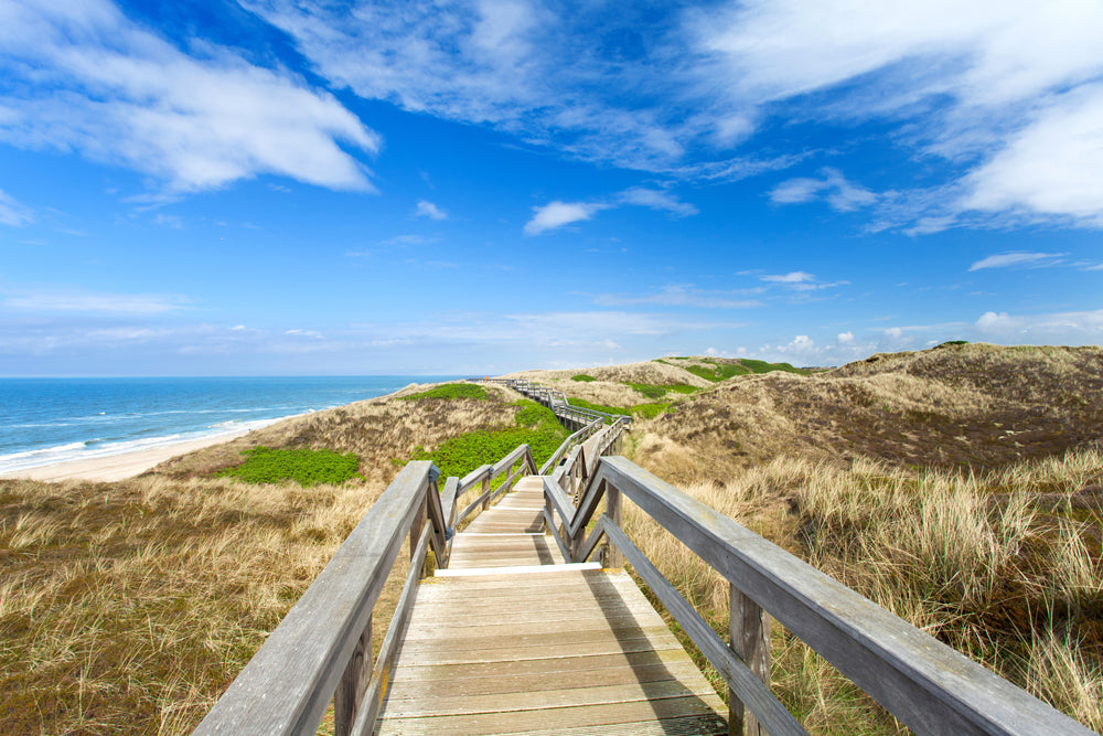 Tableau en aluminium Promenade dans les dunes