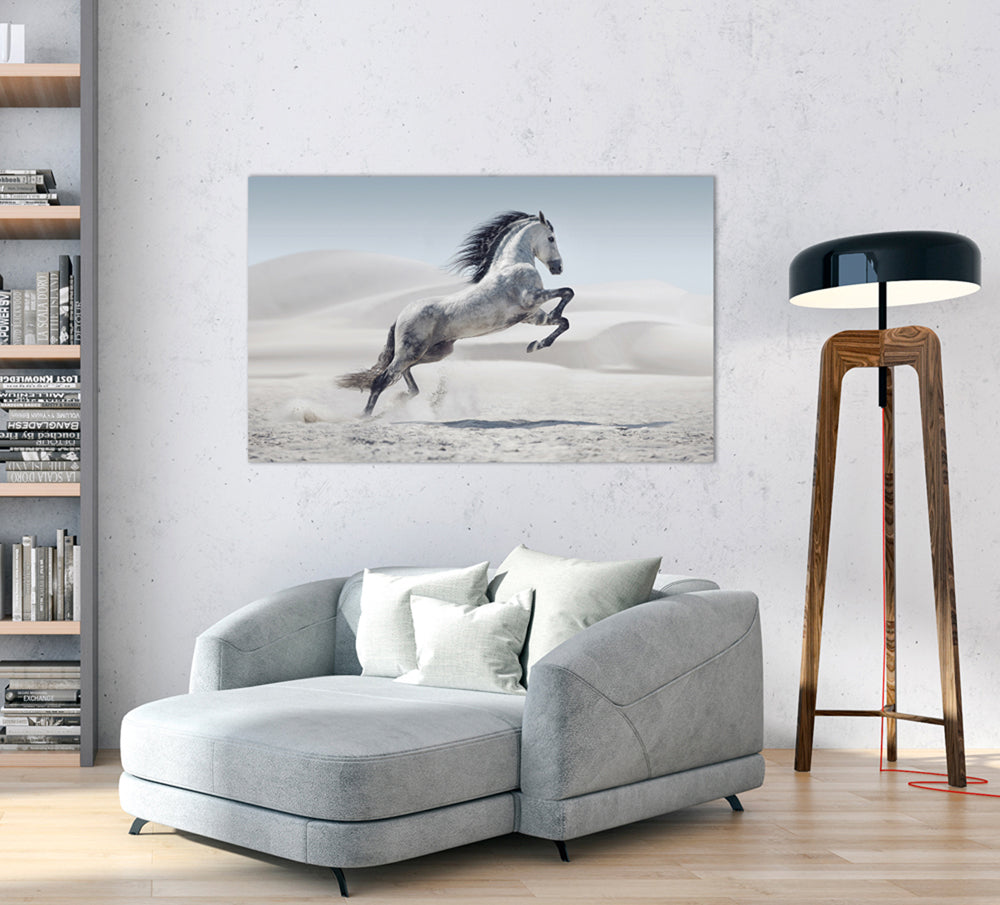 tableau en aluminium cheval sauvage