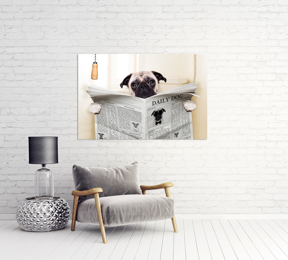 Tableau en aluminium représentant un carlin avec un journal