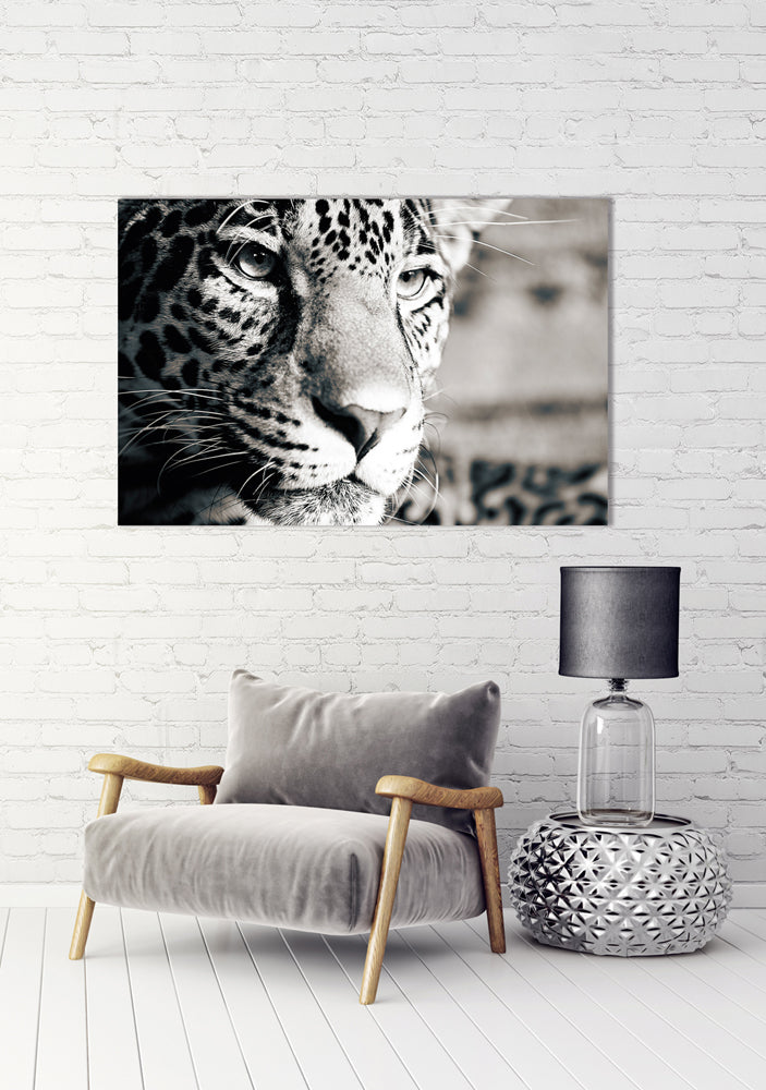 tableau en aluminium Léopard