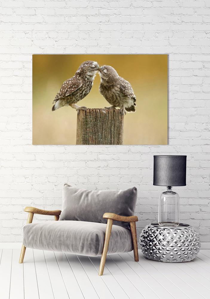 tableau aluminium 2 moineaux