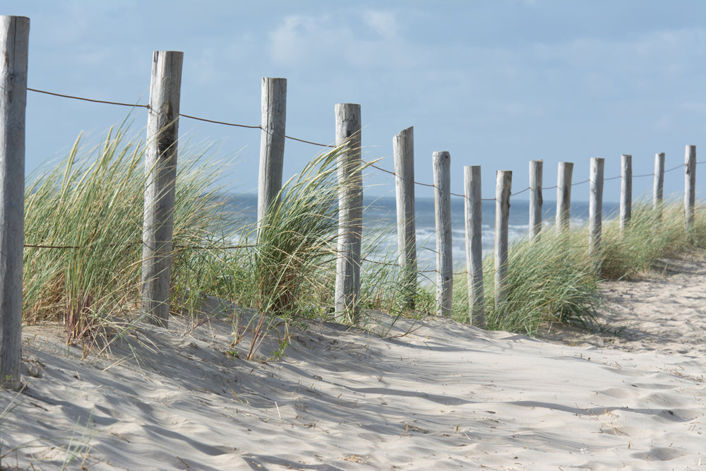 Clôture en aluminium dans les dunes