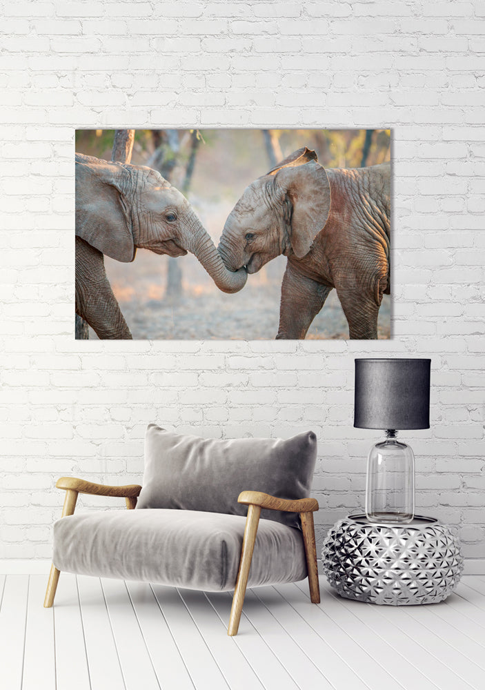 Tableau en aluminium 2 enfants éléphants jouant