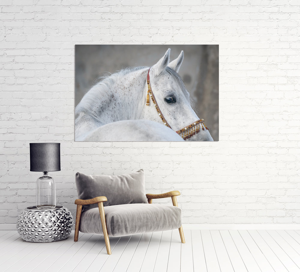 Aluminum picture Arabian Stallion
