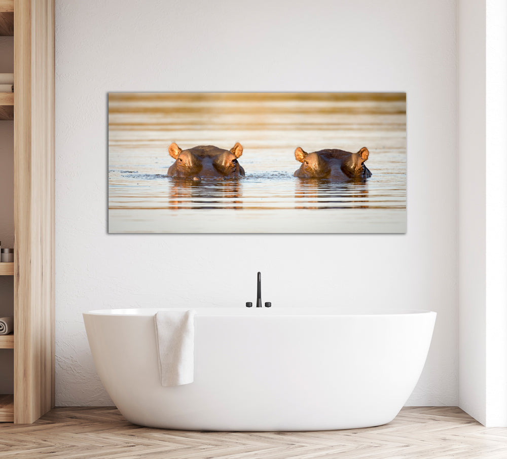 photo en aluminium 2 hippopotames