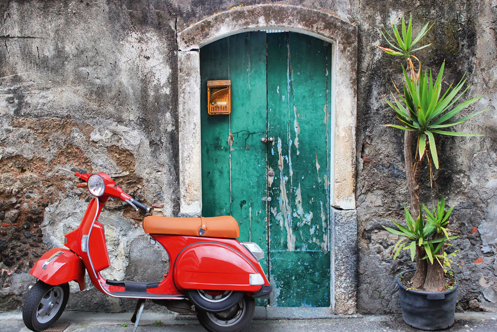 Aluminum picture Red Moped