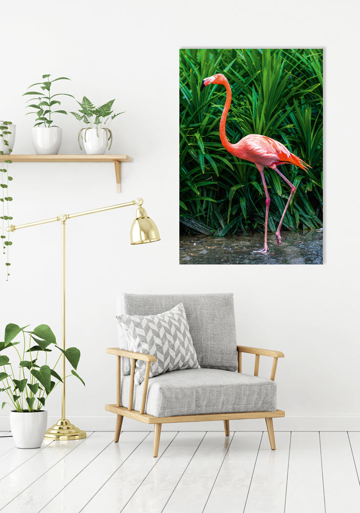 Aluminum picture Elegant Flamingo