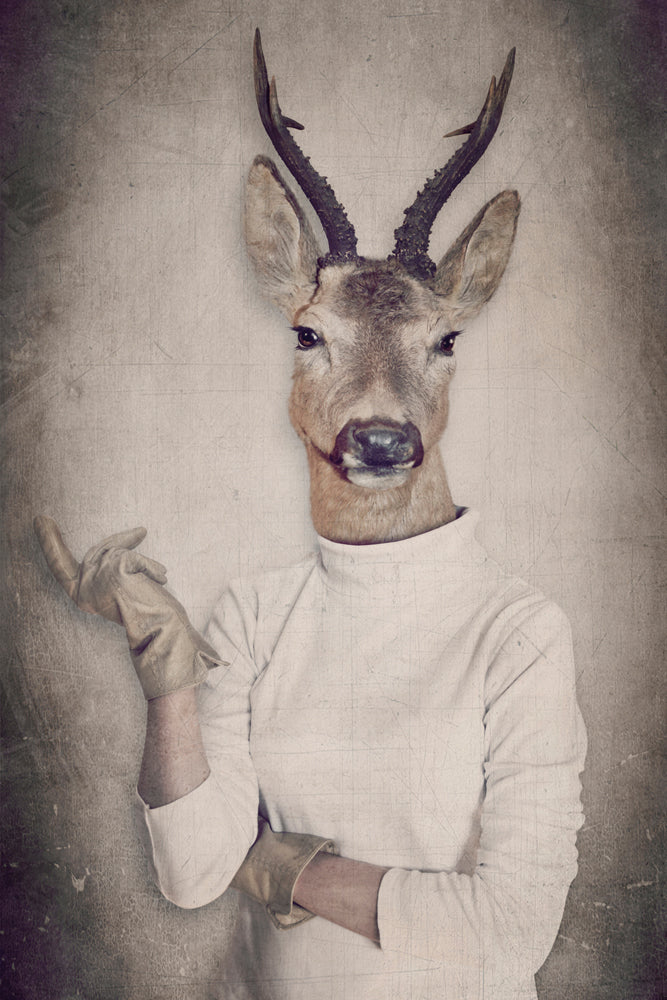 Aluminum picture Roebuck with sweater