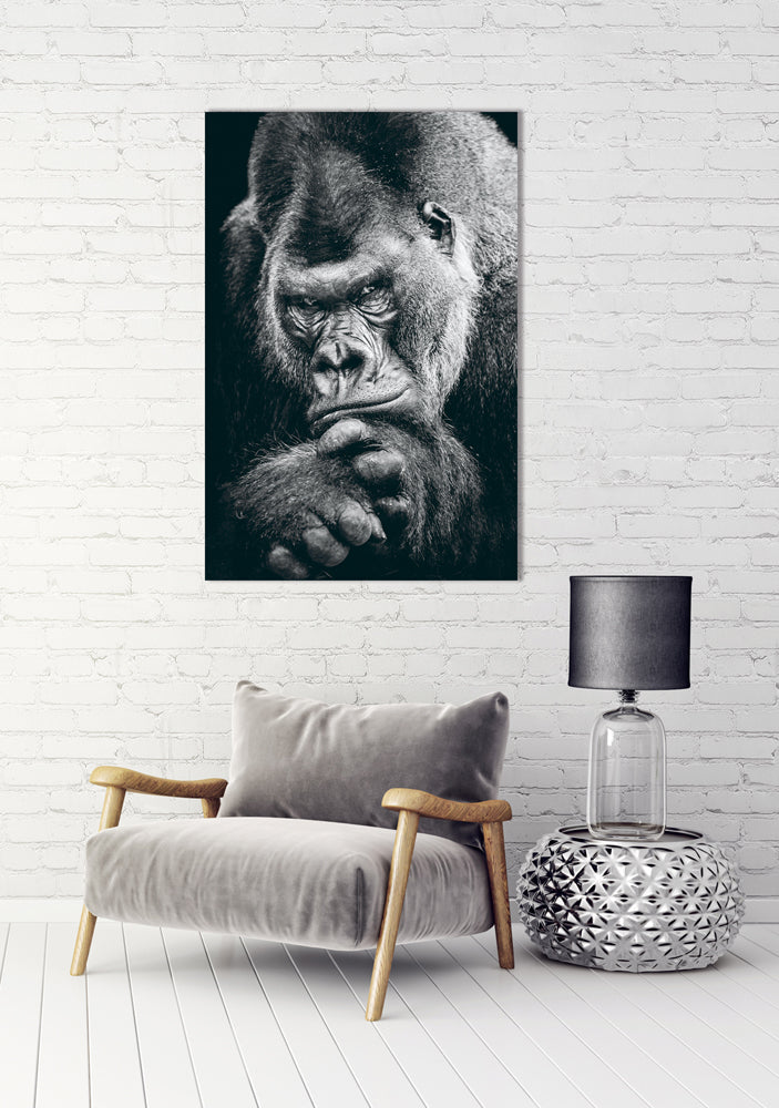 Aluminum picture Imposing Gorilla