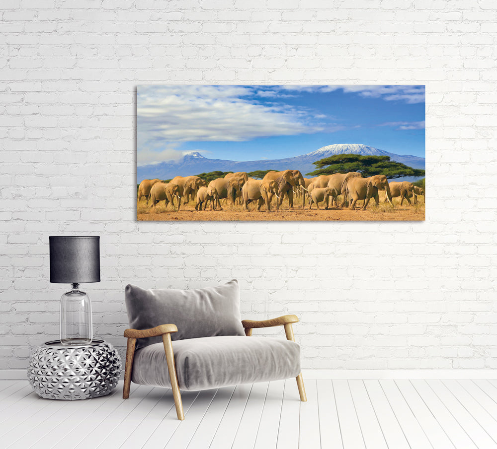 Aluminium picture Large elephant family in the savannah