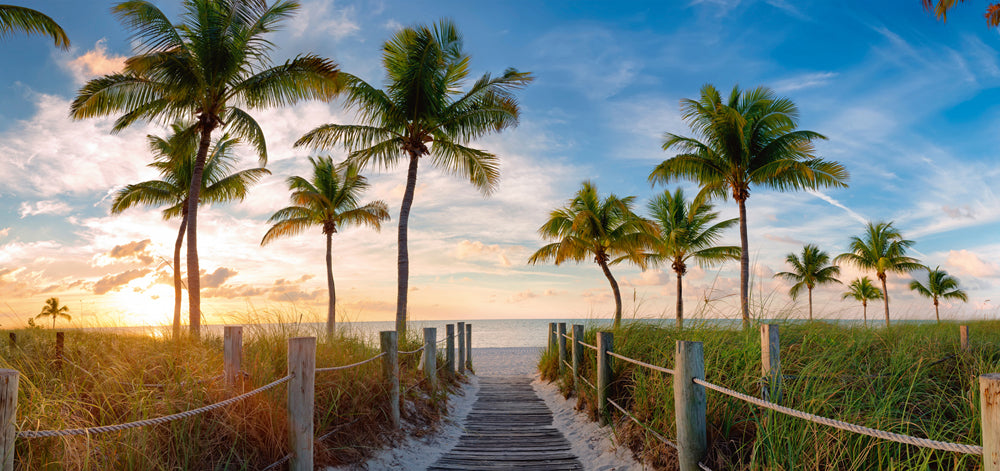 aluminum picture palm trees on the beach