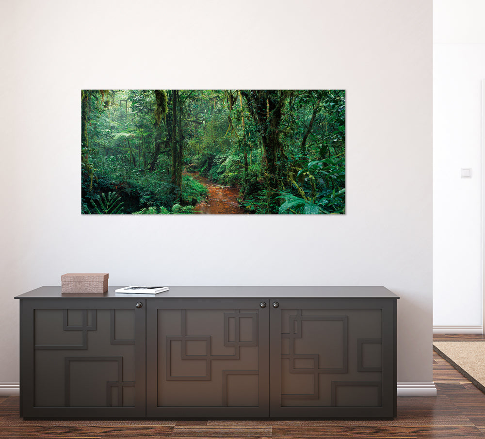 photo en aluminium dans la jungle