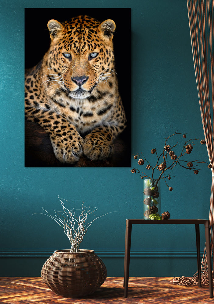 Aluminum picture Leo with steel-blue gaze