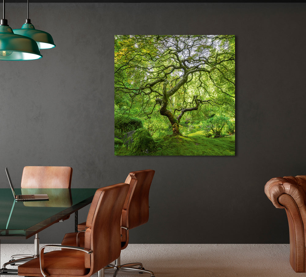 aluminum picture tree island