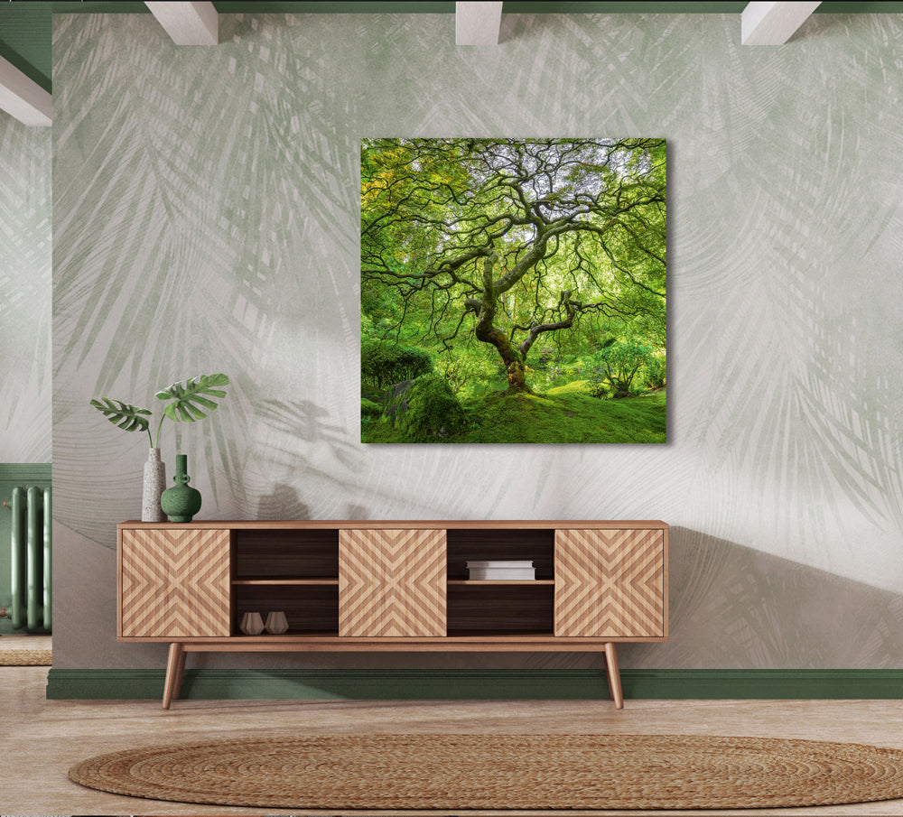 aluminum picture tree island