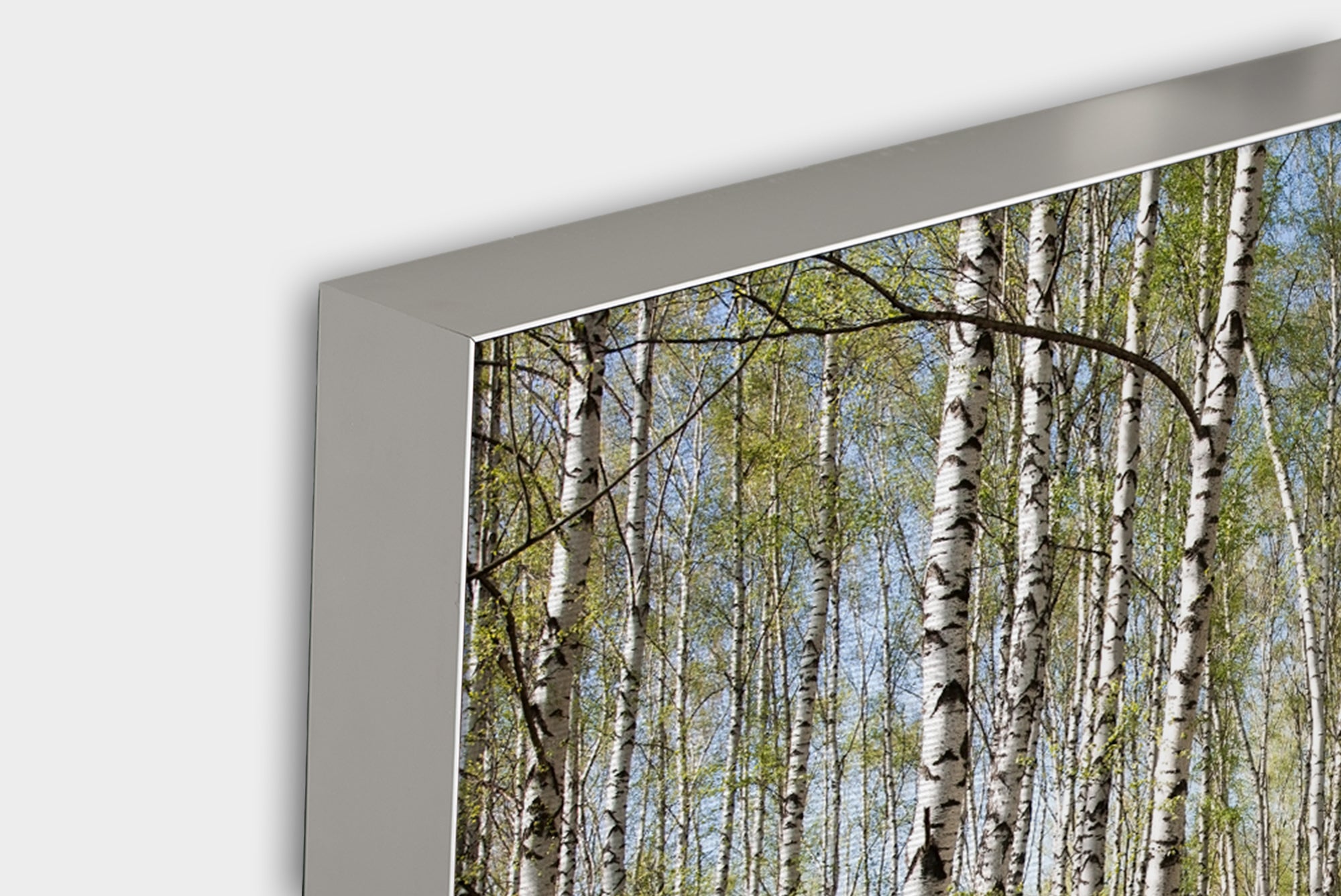 Acoustic image Pro Birkenwald