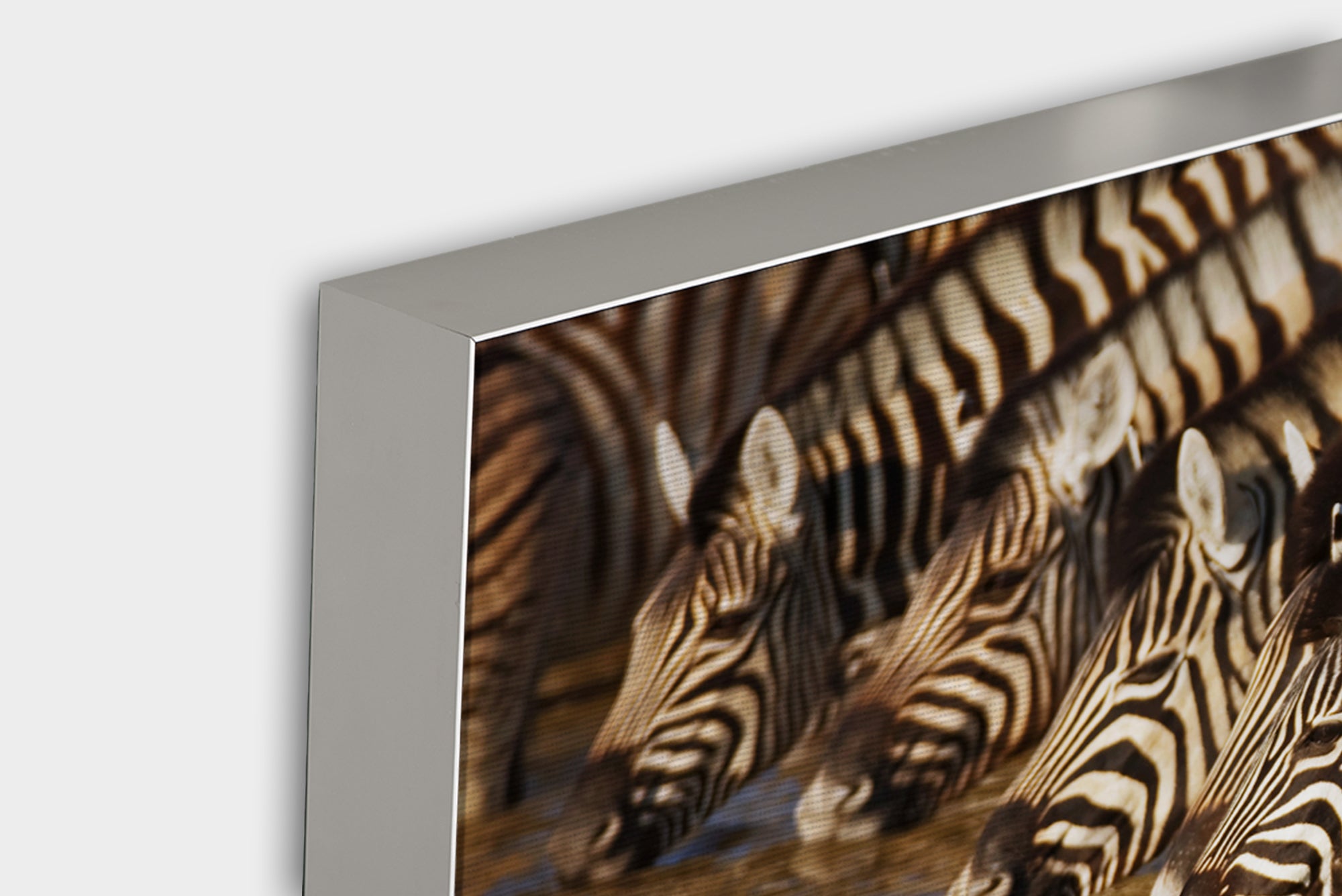 Akustikbild Pro Zebras am Fluß