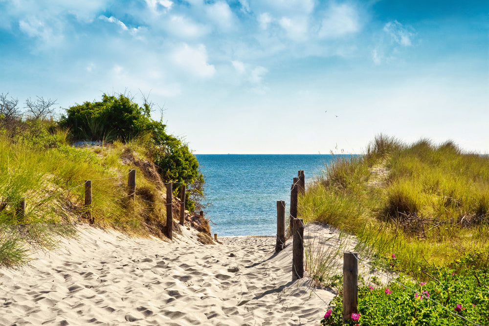 Image acoustique Pro Walk to the Sea