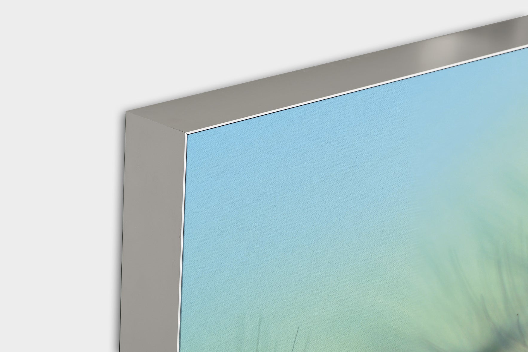Akustikbild Pro Pusteblume 1