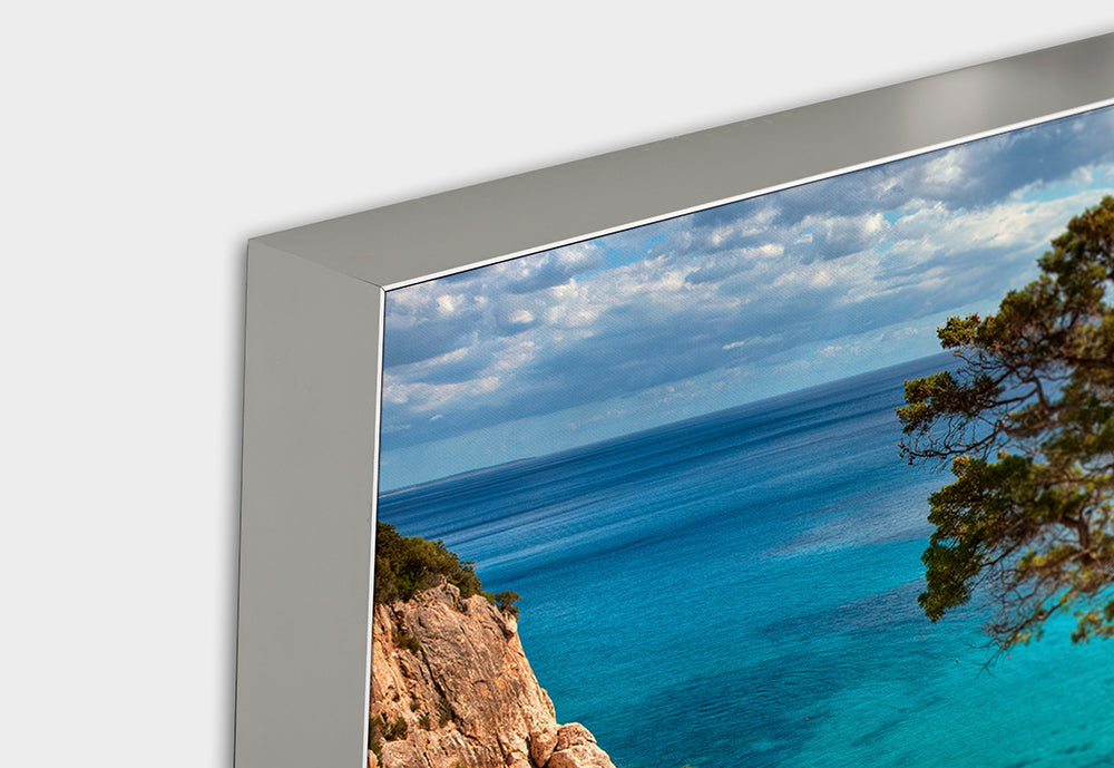 Image acoustique Pro Falaise avec arbre