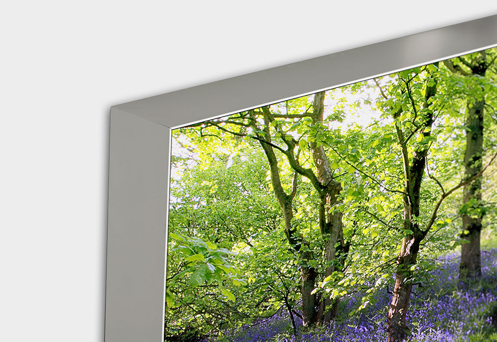 Akustikbild Pro Wald mit Lavendel 1
