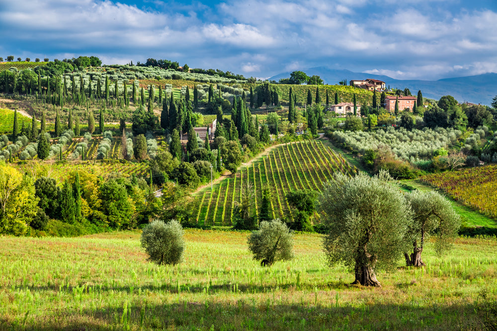 Acoustic Image Pro Idyllic Tuscan Landscape