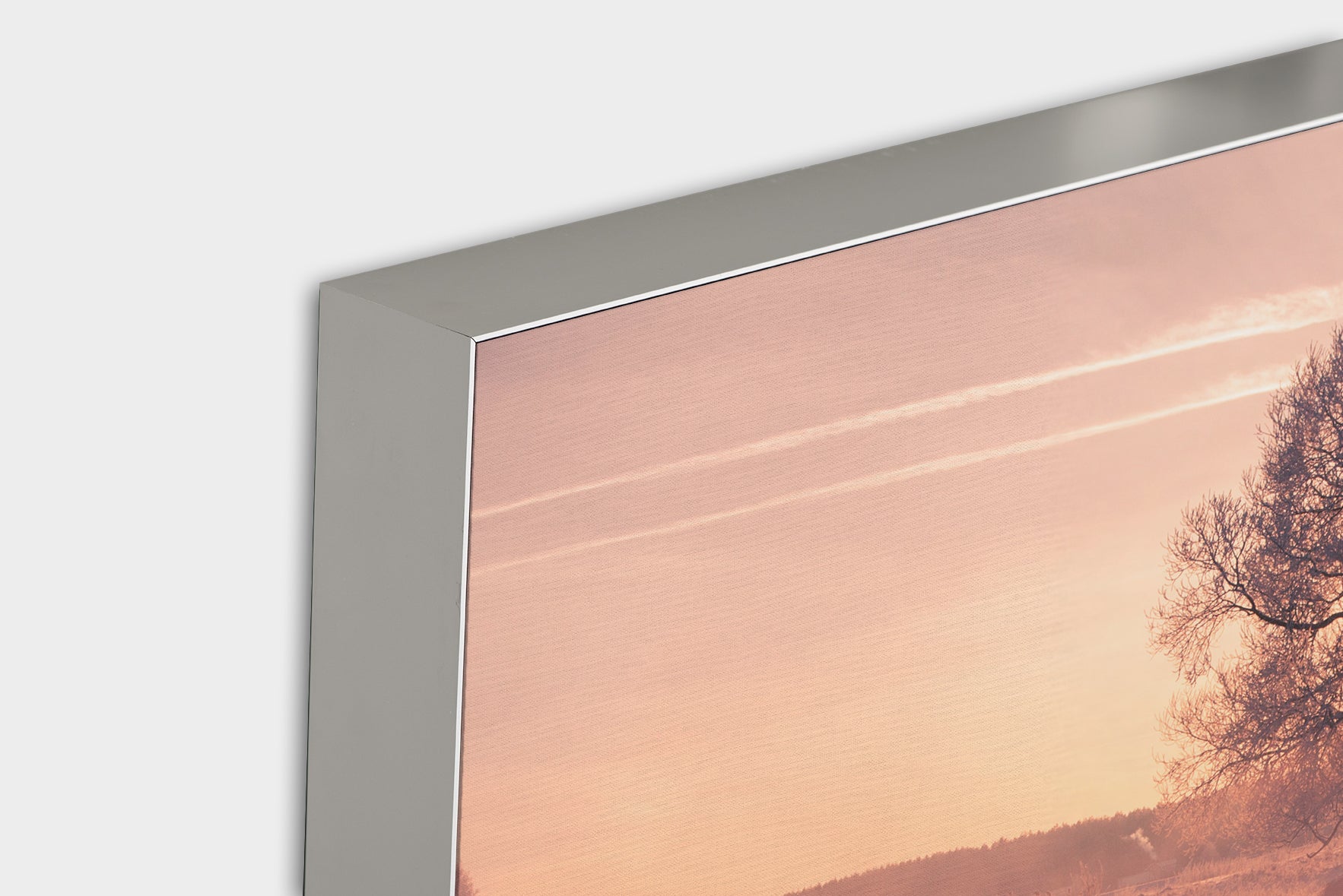 Acoustic image Pro Tree with reflection