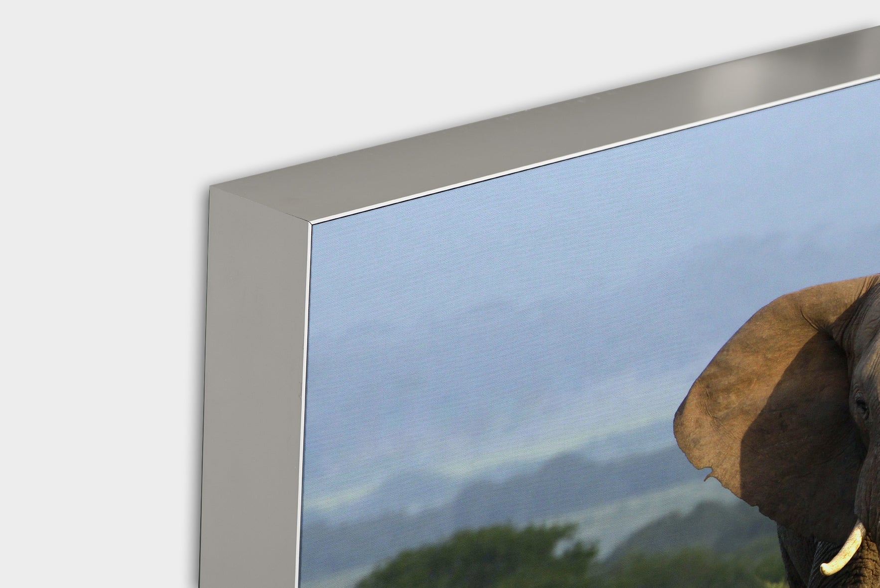 Acoustic image Pro Elephant in the Steppe