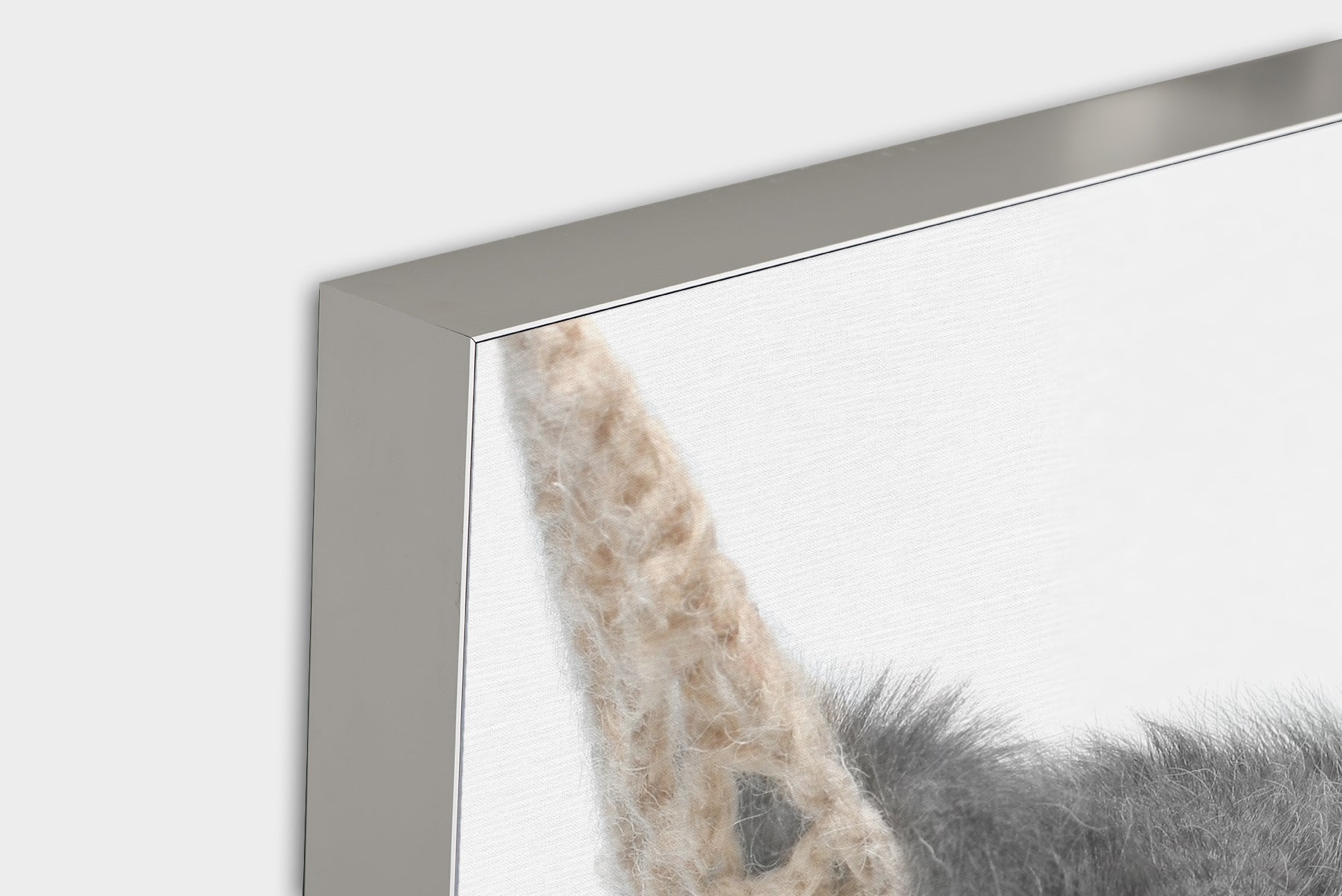 Akustikbild Pro Kätzchen in der Hängmatte