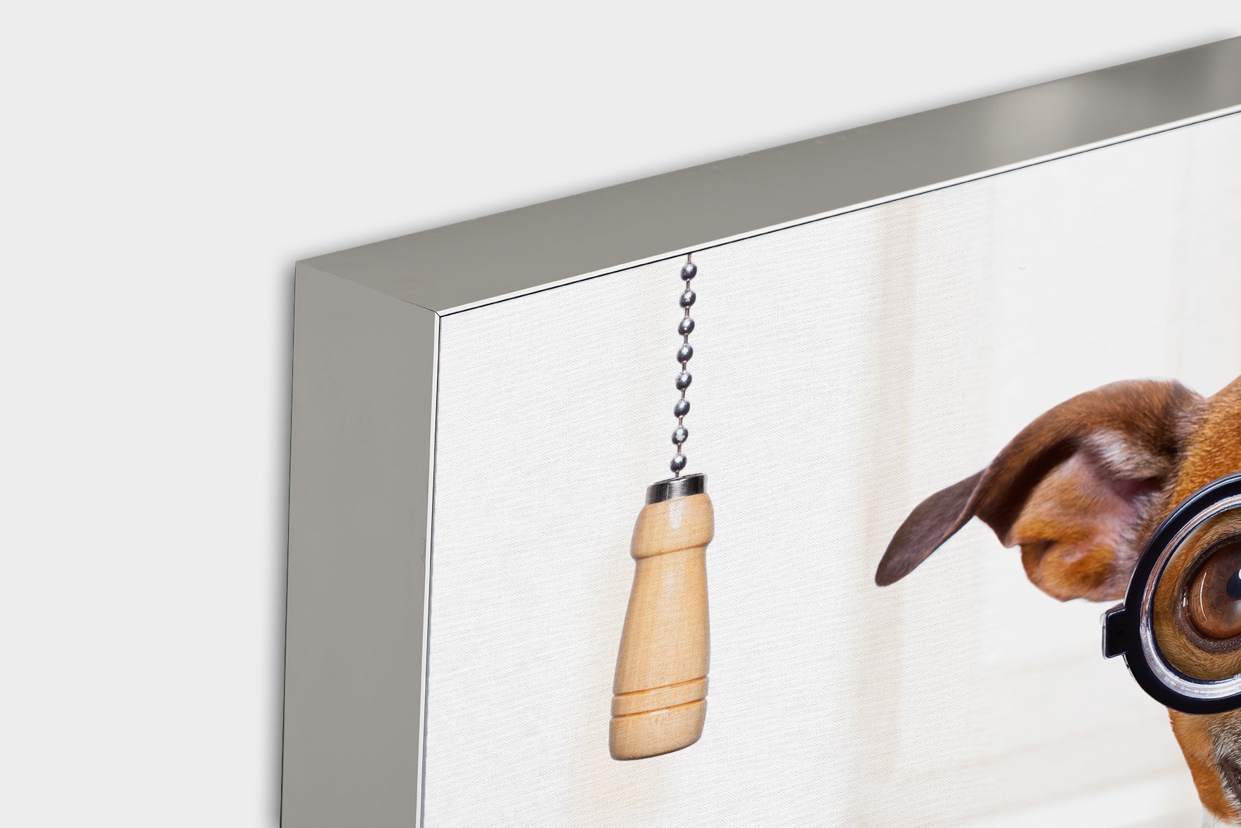 Image acoustique Pro Dog avec journal