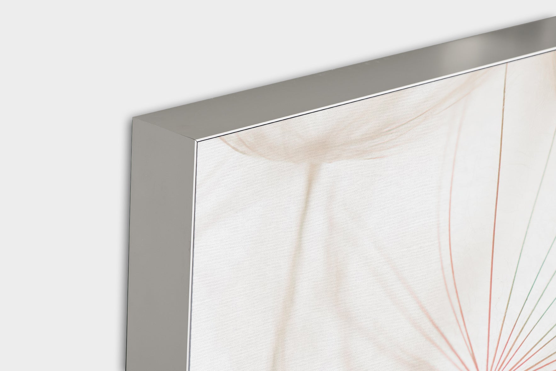 image acoustique Pissenlit 2