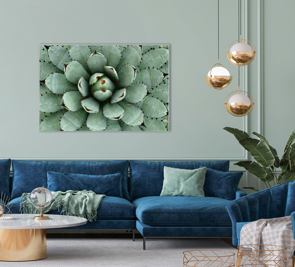 Akustikbild Pro Agave