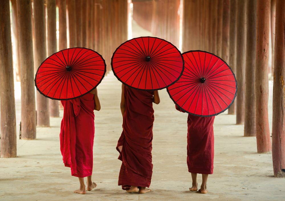 Acoustic image Pro Monks with umbrellas