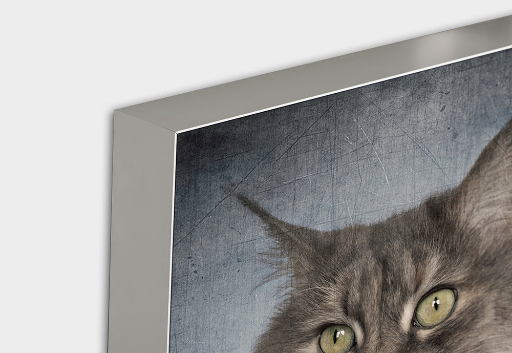 Akustikbild Pro Katzenfrau