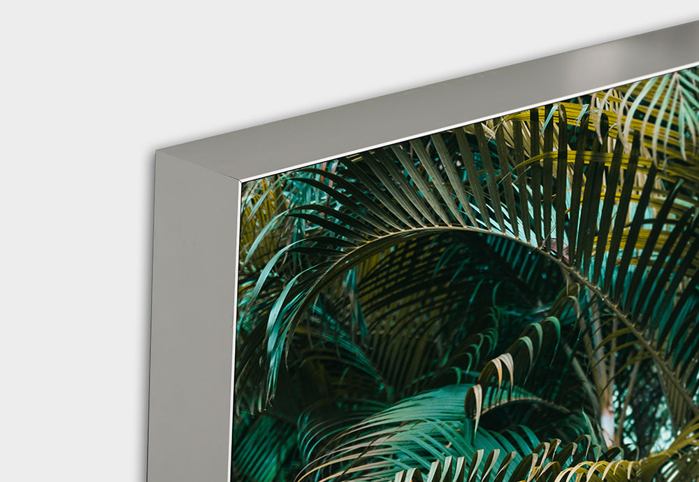 Akustikbild Pro Grüne Pflanzen