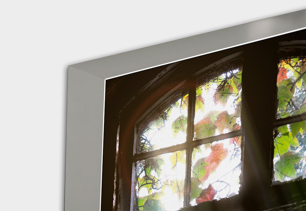 Fenêtre d'image acoustique avec des feuilles