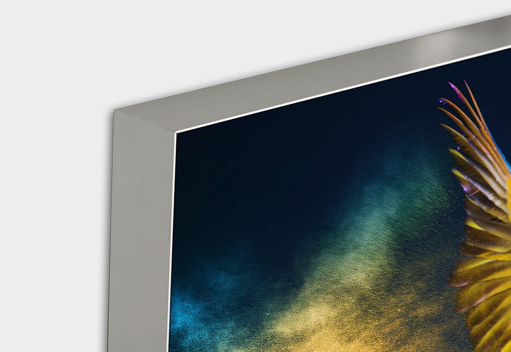 Akustikbild Pro Fliegender Papagei