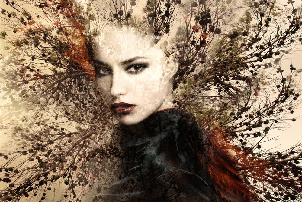 Tableau acoustique Pro Tree Fairy