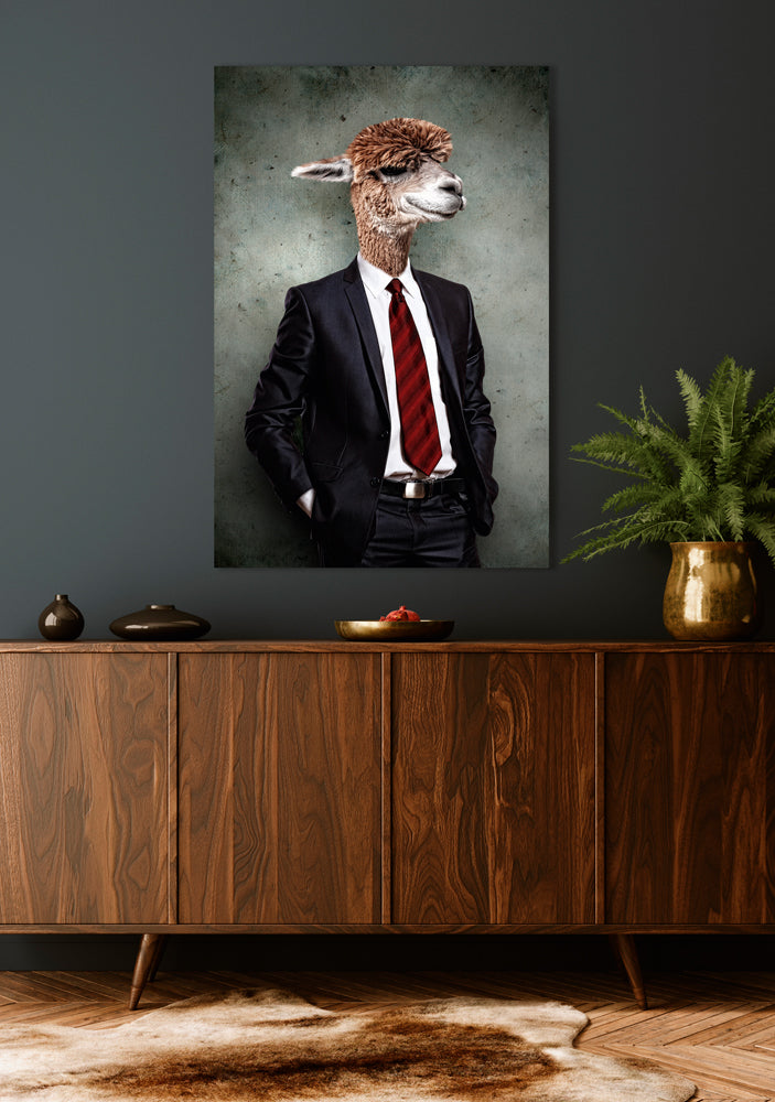 Image acoustique Pro Lama en costume